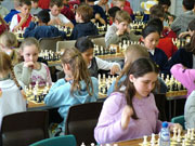 便宜的自助平台推荐的ddos攻击ip软件下载